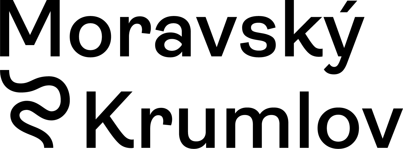 Černá pozitivní varianta loga